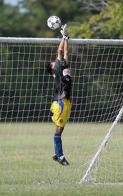 来了丰厚的 来了丰厚的