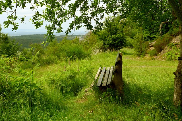 亮点之一 亮点之一