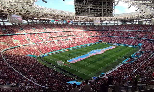 优势占据某 优势占据某