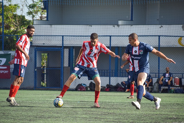 林伍德的多 林伍德的多